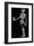 Human Skeleton-Mehau Kulyk-Framed Photographic Print