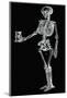 Human Skeleton-Mehau Kulyk-Mounted Photographic Print