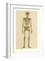 Human Skeleton-null-Framed Art Print