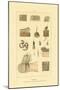 Human Skin, 1833-39-null-Mounted Giclee Print