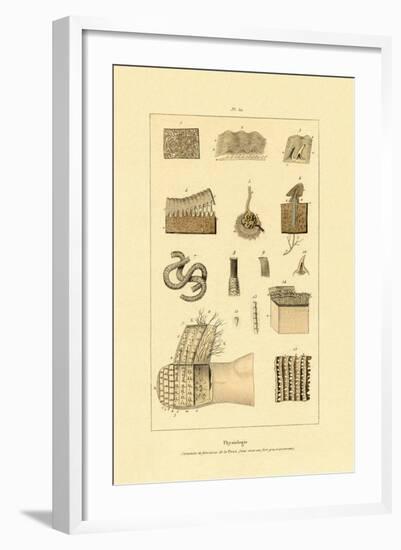 Human Skin, 1833-39-null-Framed Giclee Print