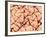 Human Skin Surface, SEM-Susumu Nishinaga-Framed Photographic Print