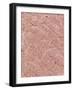 Human Skin-Micro Discovery-Framed Photographic Print