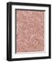 Human Skin-Micro Discovery-Framed Photographic Print