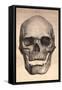 Human Skull, 1841-null-Framed Stretched Canvas