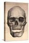 Human Skull, 1841-null-Stretched Canvas