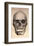 Human Skull, 1841-null-Framed Photographic Print