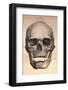 Human Skull, 1841-null-Framed Photographic Print