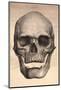 Human Skull, 1841-null-Mounted Photographic Print