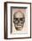 Human Skull, 1841-null-Framed Photographic Print