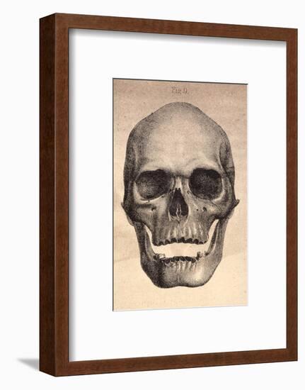 Human Skull, 1841-null-Framed Photographic Print