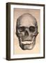 Human Skull, 1841-null-Framed Photographic Print