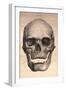 Human Skull, 1841-null-Framed Photographic Print