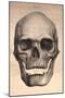 Human Skull, 1841-null-Mounted Photographic Print