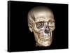 Human Skull, 3D CT Scan-null-Framed Stretched Canvas