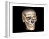 Human Skull, 3D CT Scan-null-Framed Photographic Print