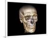 Human Skull, 3D CT Scan-null-Framed Photographic Print