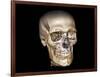 Human Skull, 3D CT Scan-null-Framed Photographic Print