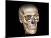 Human Skull, 3D CT Scan-null-Mounted Photographic Print