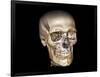 Human Skull, 3D CT Scan-null-Framed Photographic Print