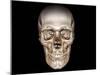 Human Skull, 3D CT Scan-null-Mounted Photographic Print