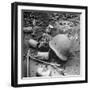 Human Skull, an Army Helmet, and Canned Food by the Side of the Ledo Road, Burma, July 1944-Bernard Hoffman-Framed Photographic Print