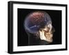 Human Skull and Brain, 3D CT Scan-null-Framed Photographic Print