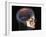 Human Skull and Brain, 3D CT Scan-null-Framed Photographic Print