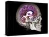 Human Skull and Brain, CT and MRI Scans-null-Stretched Canvas