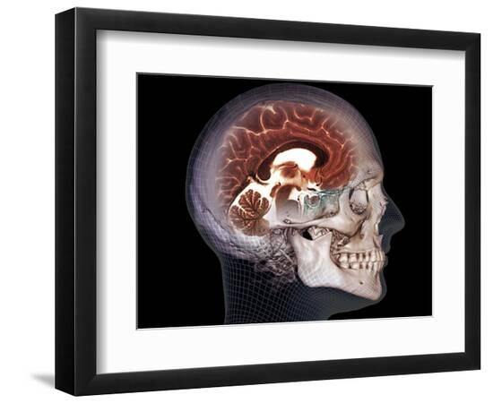 Premium Photographic Print, , large