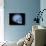 Human Skull and Site of Pituitary Gland, 3D CT Scan-null-Photographic Print displayed on a wall