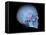 Human Skull and Site of Pituitary Gland, 3D CT Scan-null-Framed Stretched Canvas