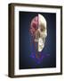 Human Skull Showing Brain and Circulatory System-Stocktrek Images-Framed Art Print