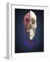 Human Skull Showing Brain and Circulatory System-Stocktrek Images-Framed Art Print