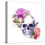 Human Skull with Flowers, Decorative Ornament and Feathers in Vintage Boho Style. Watercolor-Le Panda-Stretched Canvas