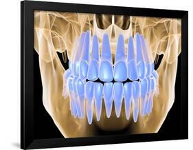 Human Skull with Teeth, Computer Artwork-PASIEKA-Framed Photographic Print