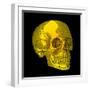 Human Skull-Mehau Kulyk-Framed Premium Photographic Print