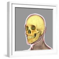 Human Skull-Stocktrek Images-Framed Art Print