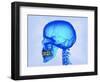 Human Skull-Matthias Kulka-Framed Giclee Print