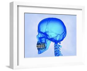 Human Skull-Matthias Kulka-Framed Giclee Print