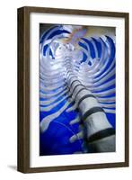 Human Spine Model-Arno Massee-Framed Photographic Print