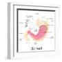 Human Stomach Anatomy-stockshoppe-Framed Art Print