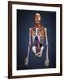 Human Upper Body Showing Bones, Muscles and Circulatory System-Stocktrek Images-Framed Art Print