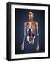 Human Upper Body Showing Bones, Muscles and Circulatory System-Stocktrek Images-Framed Art Print