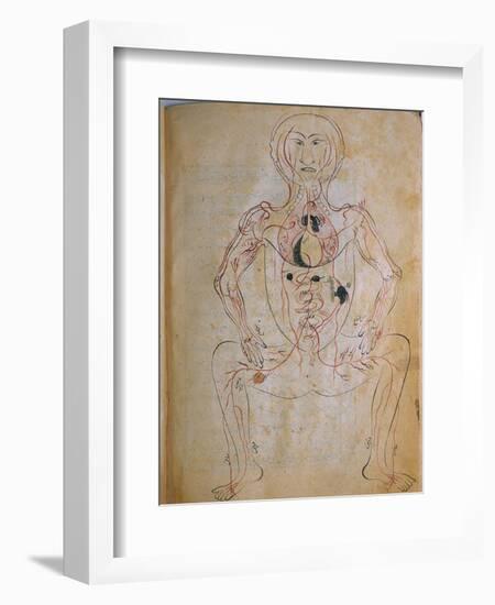 Human Venous System-null-Framed Art Print