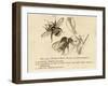 Humble Bees-null-Framed Art Print