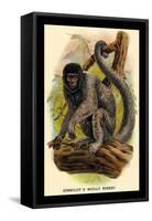 Humboldt's Woolly Monkey-G.r. Waterhouse-Framed Stretched Canvas