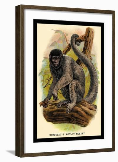 Humboldt's Woolly Monkey-G.r. Waterhouse-Framed Art Print