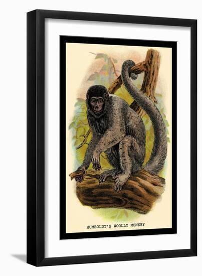 Humboldt's Woolly Monkey-G.r. Waterhouse-Framed Art Print