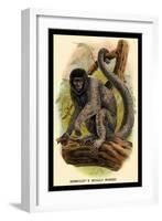 Humboldt's Woolly Monkey-G.r. Waterhouse-Framed Art Print